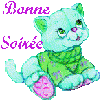 bonne soirée a vous !!