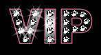 *****v i p ******